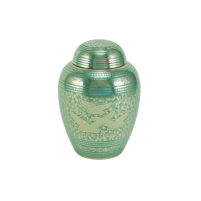 L&rsquo;envol du retour